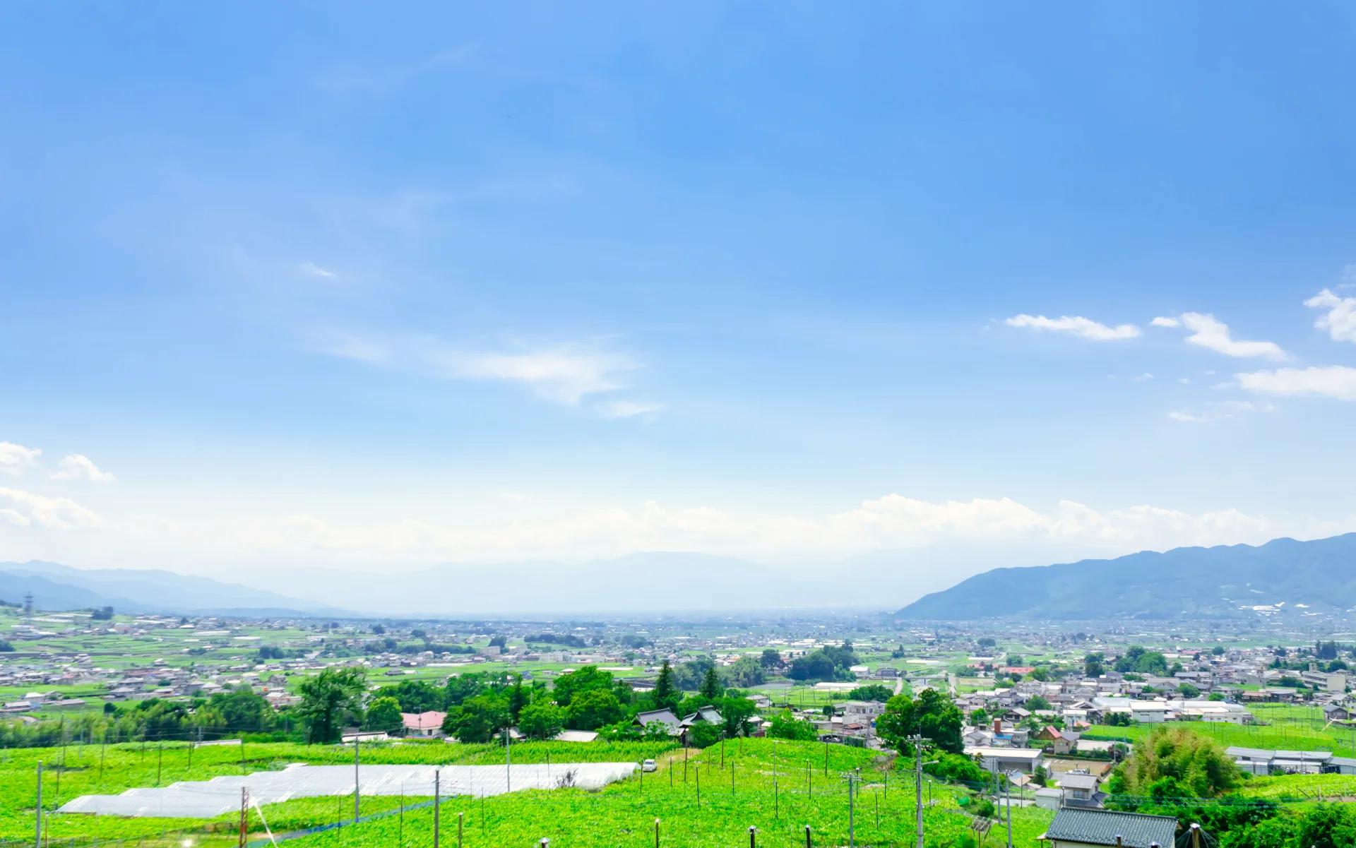 甲府盆地を見下ろす畑