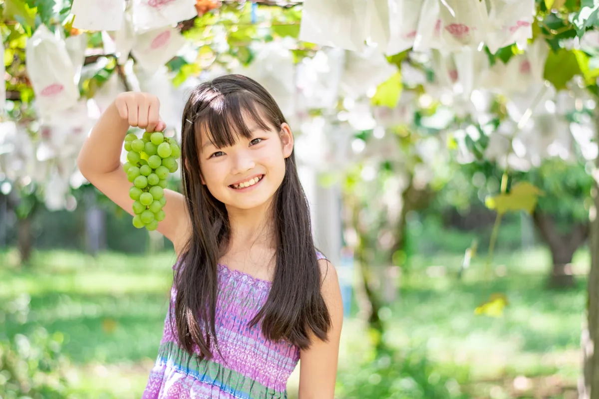 ぶどう棚の下で、摘みたての緑のぶどうを手にした女の子
